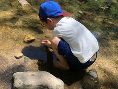 -碓臼峪自然风景区