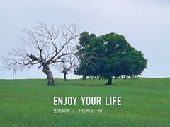 -五角枫生态旅游景区