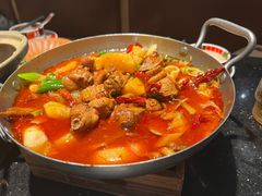 -塔哈尔·新疆盛宴(复地活力城店)
