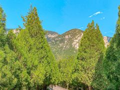 -禅宗少林·音乐大典