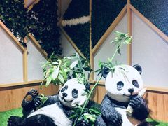 -川撒子成都熊猫火锅主题餐厅(银泰城店)