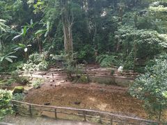 -灵光寺