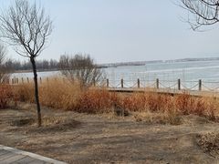 -野鸭湖国家湿地公园