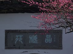 -杭州植物园