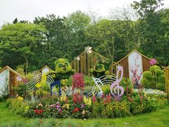 -上海共青森林公园