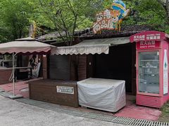 -成都松鼠部落