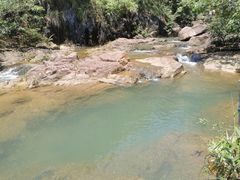 -广州白江湖森林公园