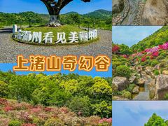 -莫干山风景区