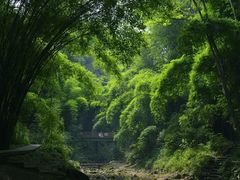 -桤木河湿地公园