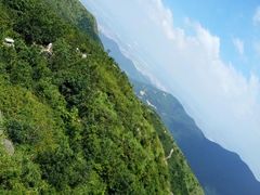 -东莞市大岭山森林公园