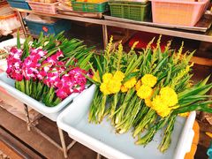 -席娜卡琳火车铁道夜市