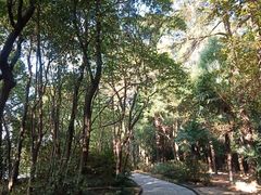 -东湖落雁景区