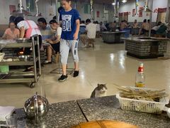 -夏家大锅台炖鱼馆