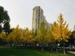 -西北湖绿化广场