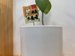-呷贺盐酥鸡(抄纸巷店)