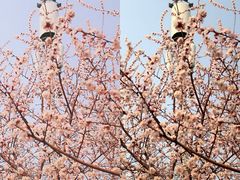 -北京明城墙遗址公园