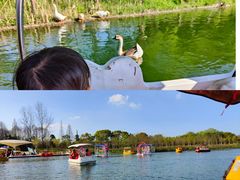 -太阳岛度假酒店