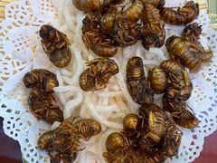 -赵记煎饼卷大葱(东岳店)