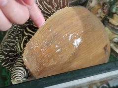 瓜螺-八方海味餐厅