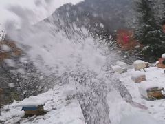 -西安祥峪森林公园