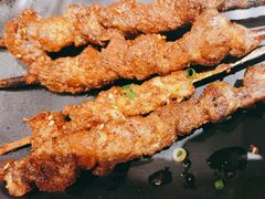 -额尔敦草原涮羊肉·烧烤(冻青树总店)