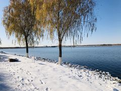 -丁香湖公园