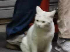 -甜甜屋(解放中路店)