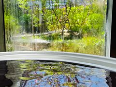 -春晖园度假酒店温泉