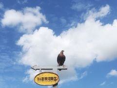 -186彩带河
