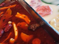-湊湊火锅·茶憩(新中关购物中心店)