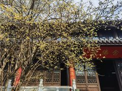-灵谷景区