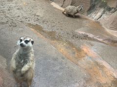 -长鹿旅游休博园