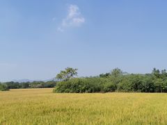 -良渚古城遗址公园