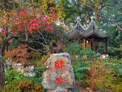 -上海醉白池公园