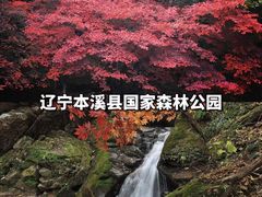 -香山公园