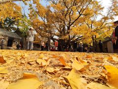 -浮来山风景区