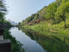 -桃花岭景区