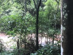 -赤水丹霞旅游区·佛光岩