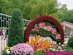 -上海共青森林公园