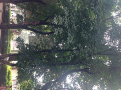 人民广场-重庆人民广场