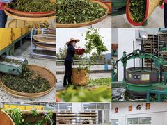 -梅州天地人花园酒店(梅县人民广场店)