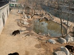 -石家庄市动物园