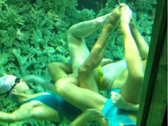 -肇庆奥威斯酒店