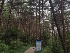 -帽儿山国家森林公园