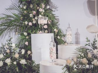 我愿做你无尽森林里的第一束光