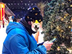 -宁波冰雪大世界(北仑区)