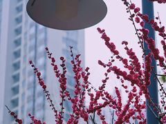 -静安雕塑公园