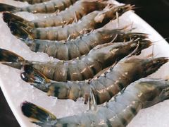 -无老锅(苓雅店)