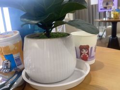 -美莱医疗美容医院