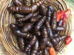 -昆虫窝子·特色云南菜(拓东路总店)